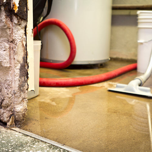 Flood Remediation Services